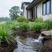 Rain garden with native plants and shallow water runoff captured beside a home, demonstrating mitigation through proactive stormwater management.